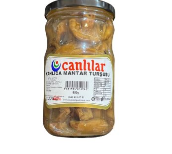 KANLICA MANTAR TURŞUSU 850g